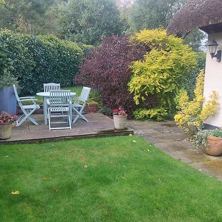 Rock House Cottage Exeter Extérieur photo